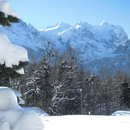 Zenger-jossi By Interhome Daire *